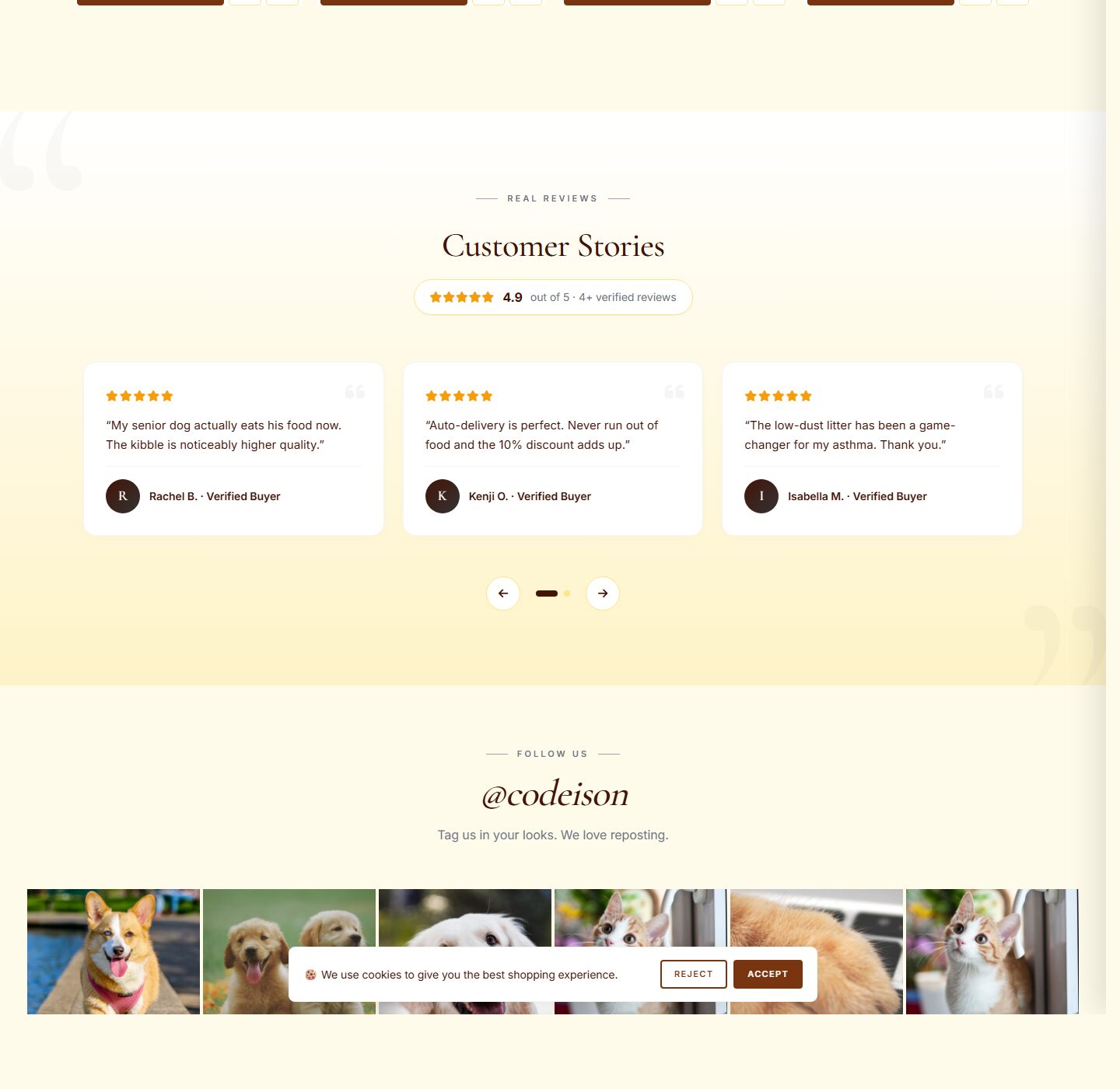 OpenCart 4 Theme for Pet: Pet Supply Pack, Editorial Header screenshot 5