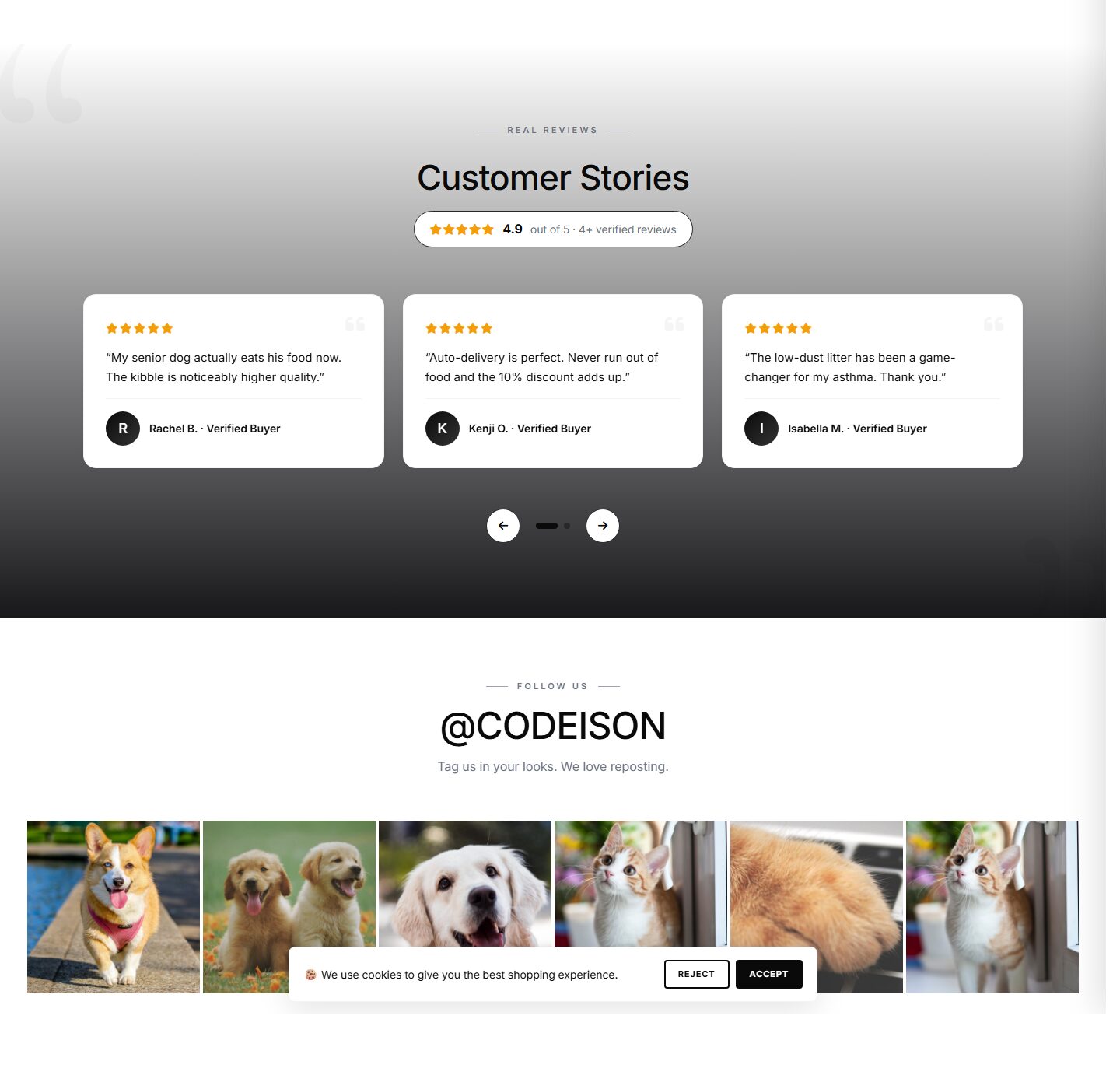 Street Pet Supply: OpenCart 4 Theme Built for Pet Growth screenshot 5