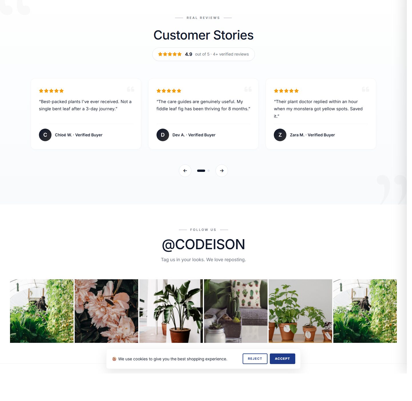 Launch a Garden Store with Plants Green - OpenCart 4 Bold Theme screenshot 5
