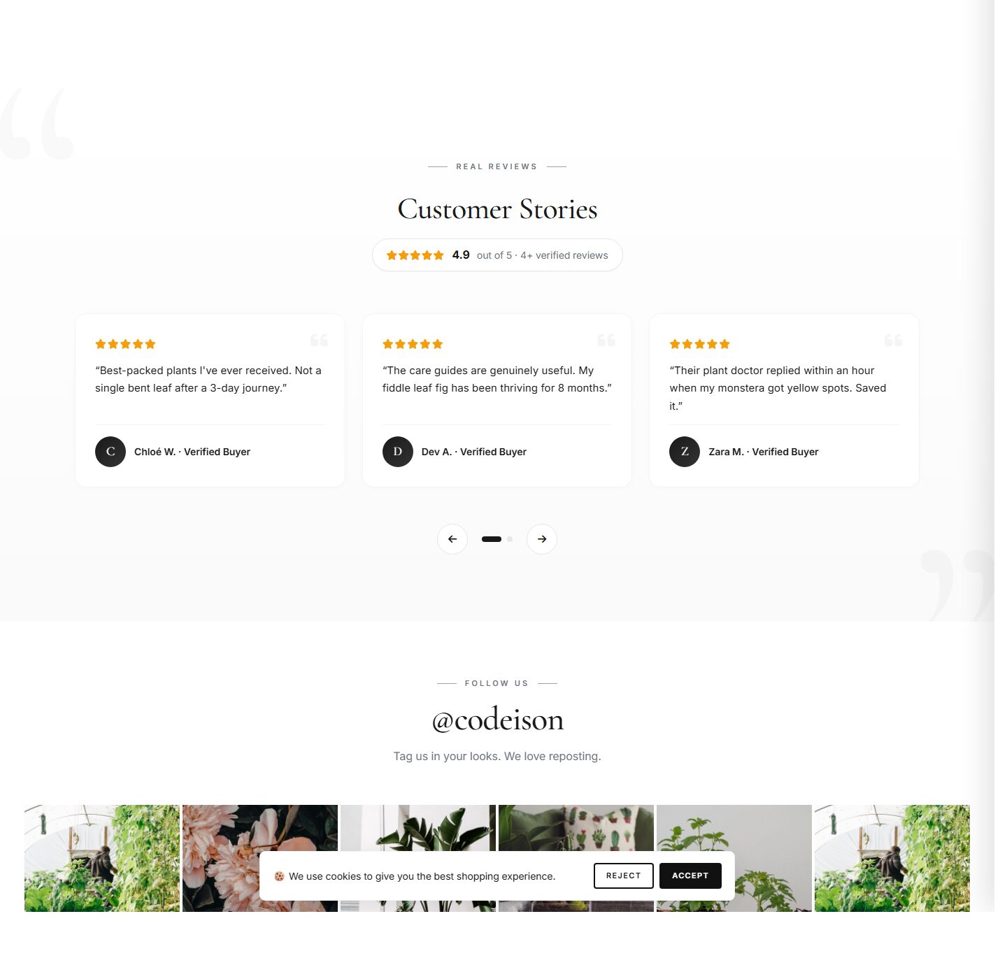 Plants Green OpenCart 4 Theme - Classic Layout for Garden Stores screenshot 5