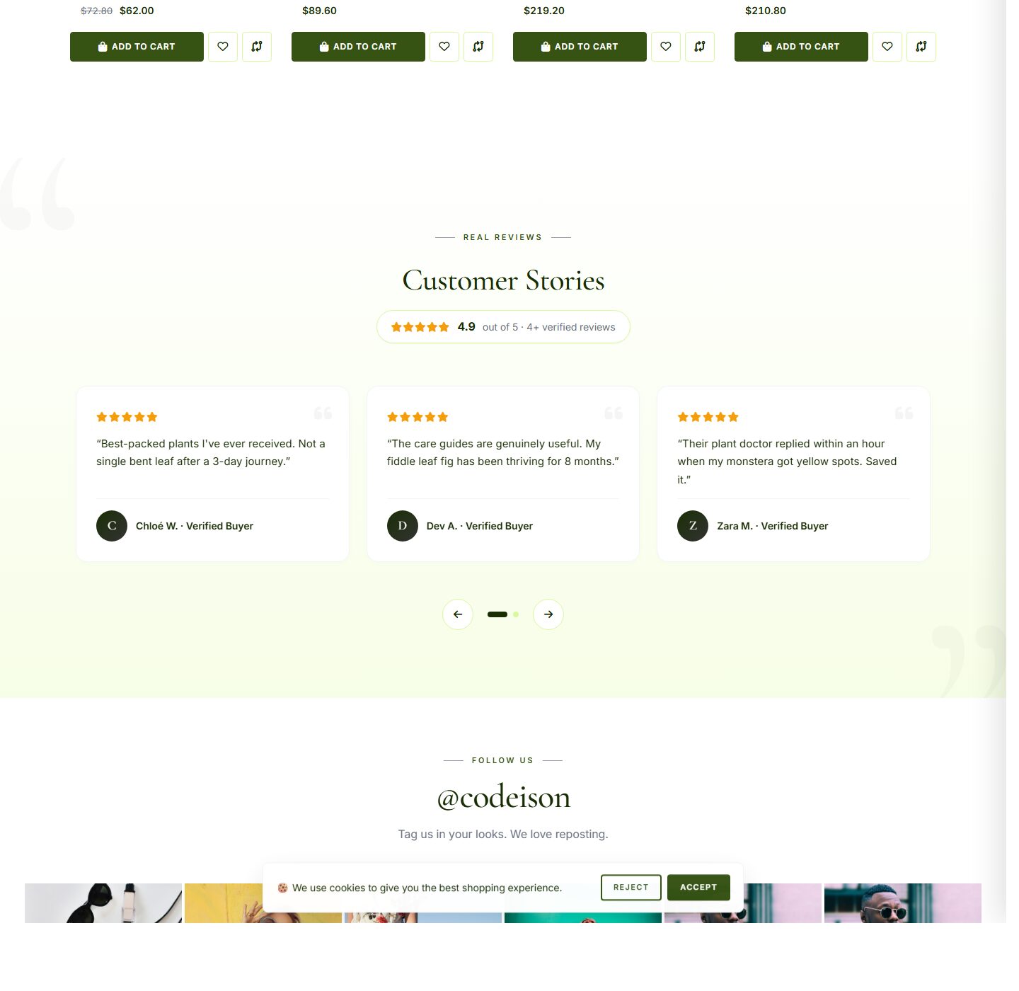 Sell Garden Online: Plants Green OpenCart 4 Theme (Clean Layout) screenshot 5