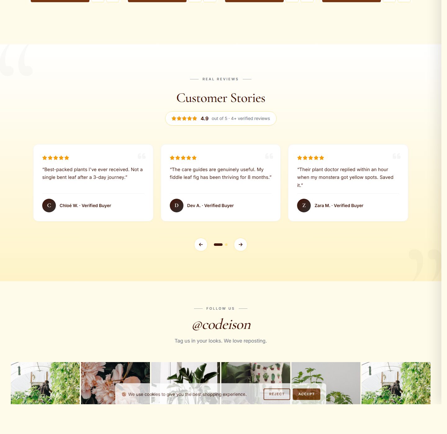 Editorial Garden Theme for OpenCart 4 - Plants Green Edition screenshot 5