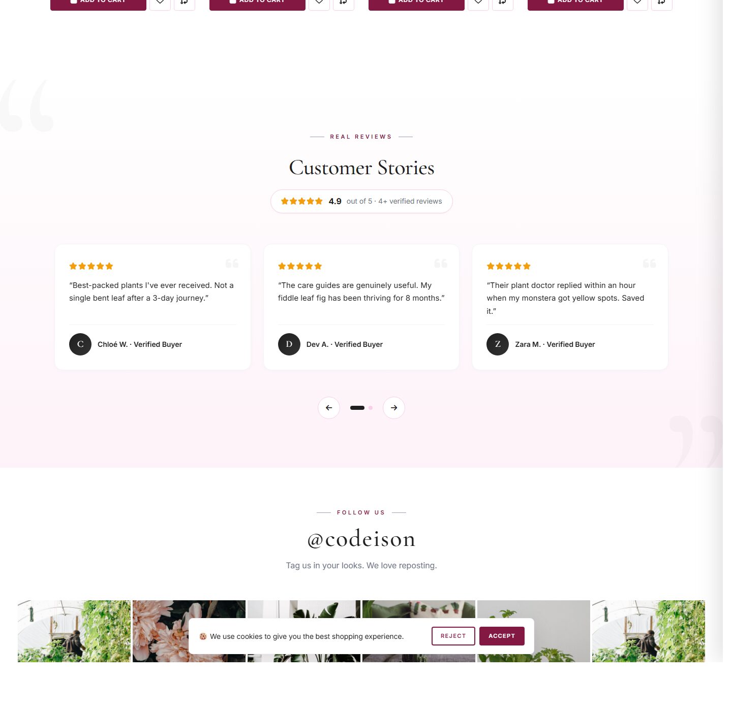 Plants Green: Luxe-Style OpenCart Theme for Modern Garden screenshot 5
