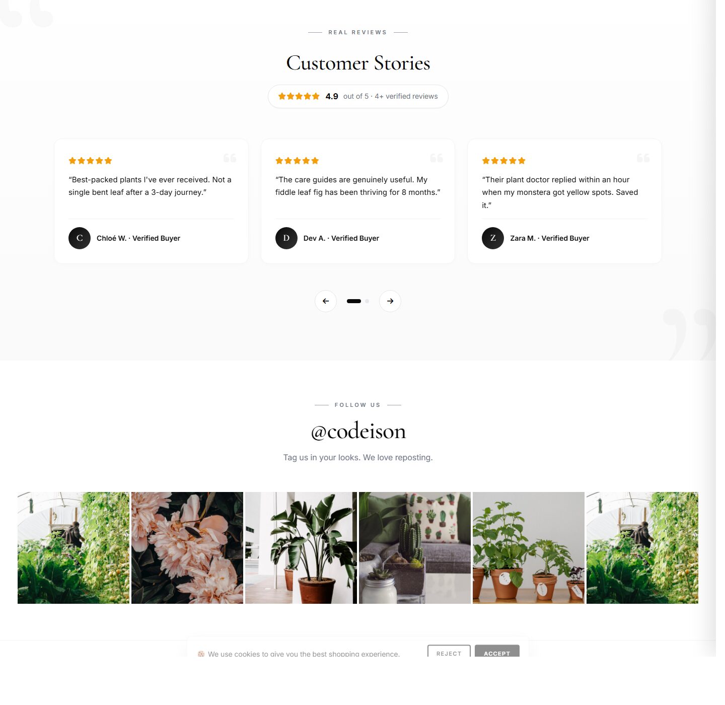 Premium Garden Theme for OpenCart 4.1 | Plants Green Modern screenshot 5