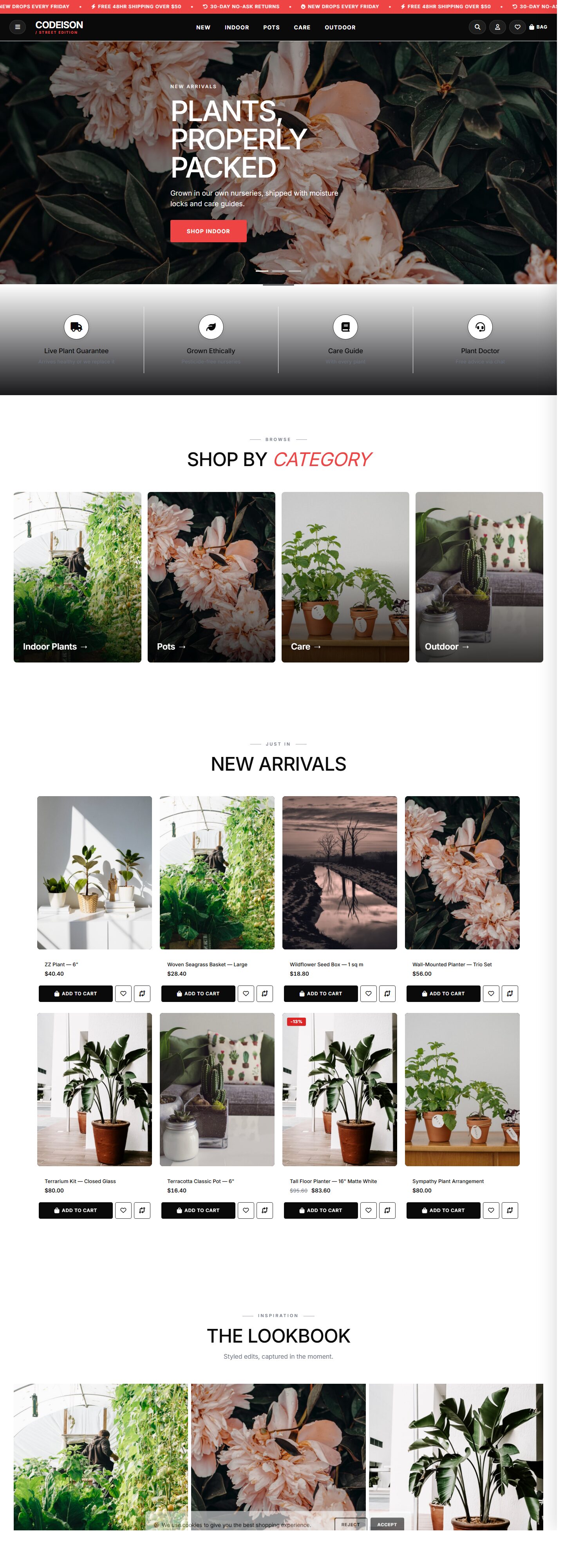 OpenCart 4 Garden Template - Plants Green with Street Header