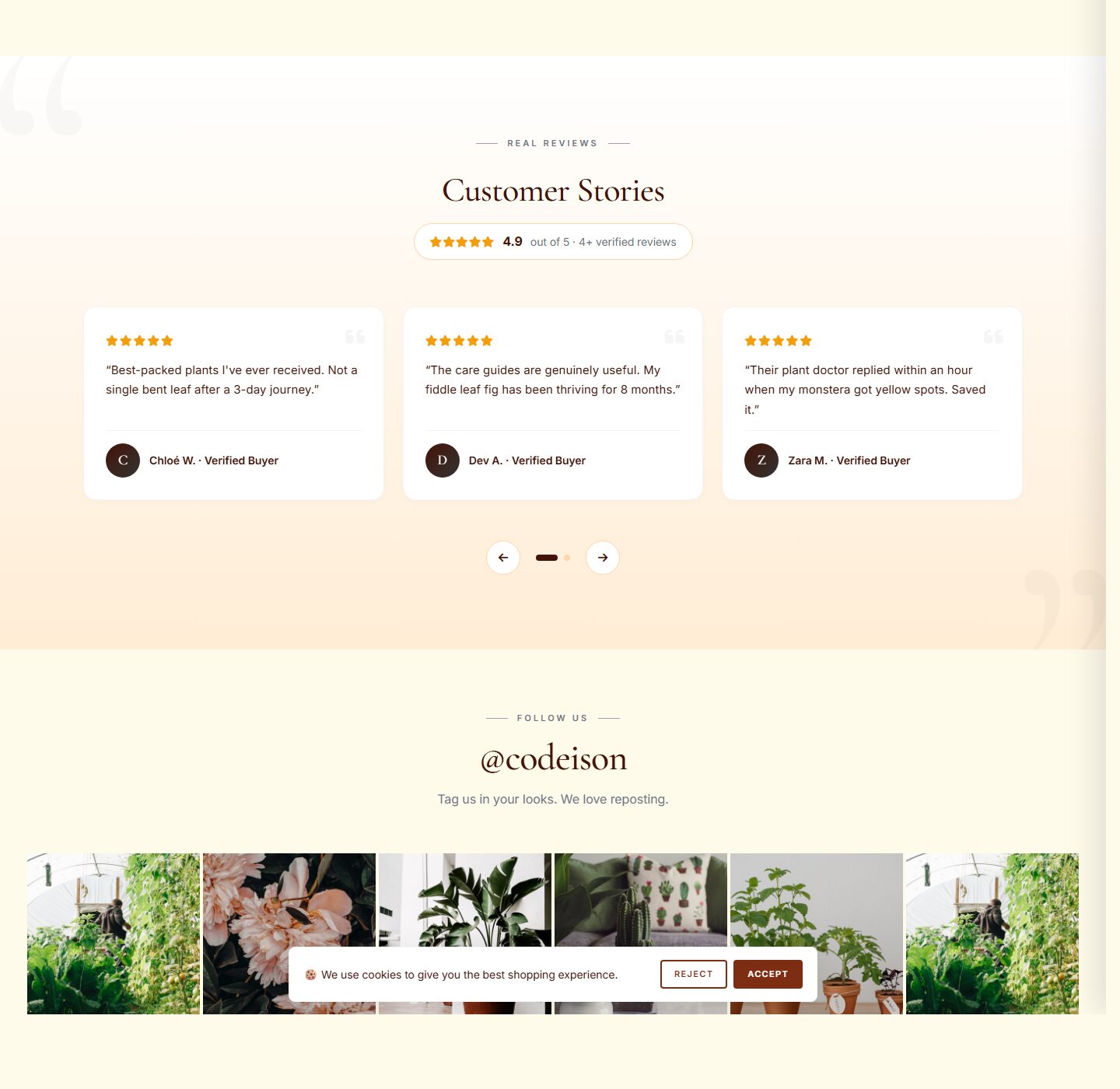 Warm-First OpenCart Theme for Garden Brands - Plants Green screenshot 5